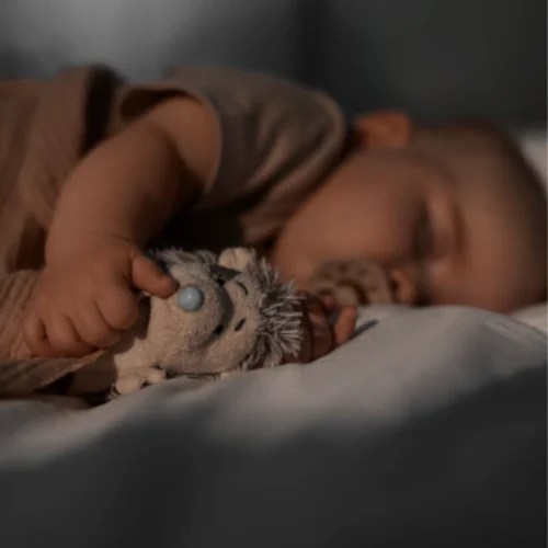 Le sommeil de la naissance jusqu'à 3 ans, le comprendre et l'accompagner